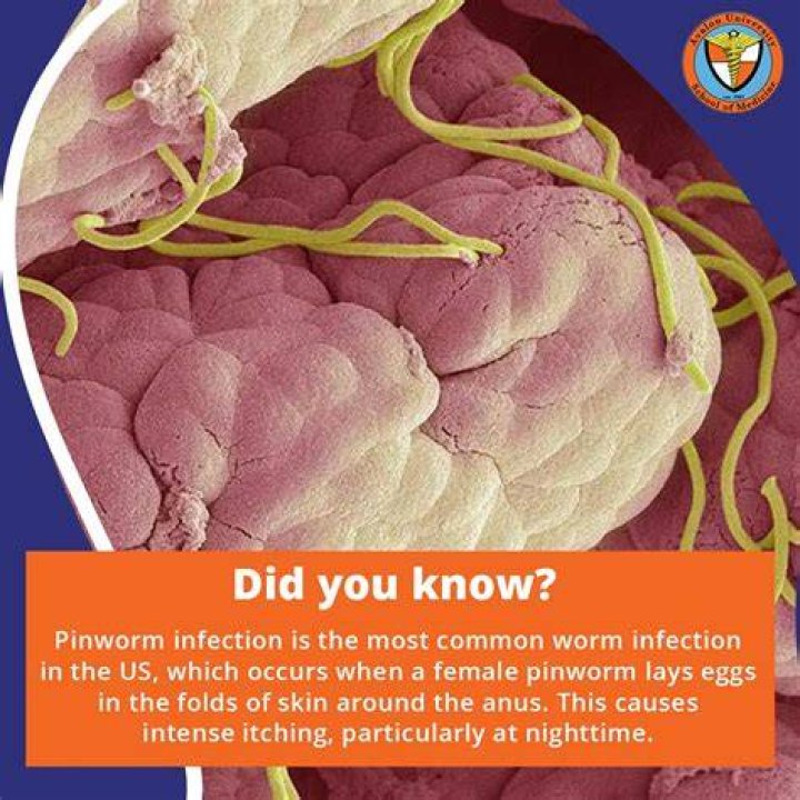 Can pinworms cause a cough?