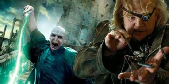Did Harry Potter cast an Unforgivable Curse?