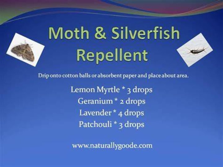 Do moth balls repel silverfish?