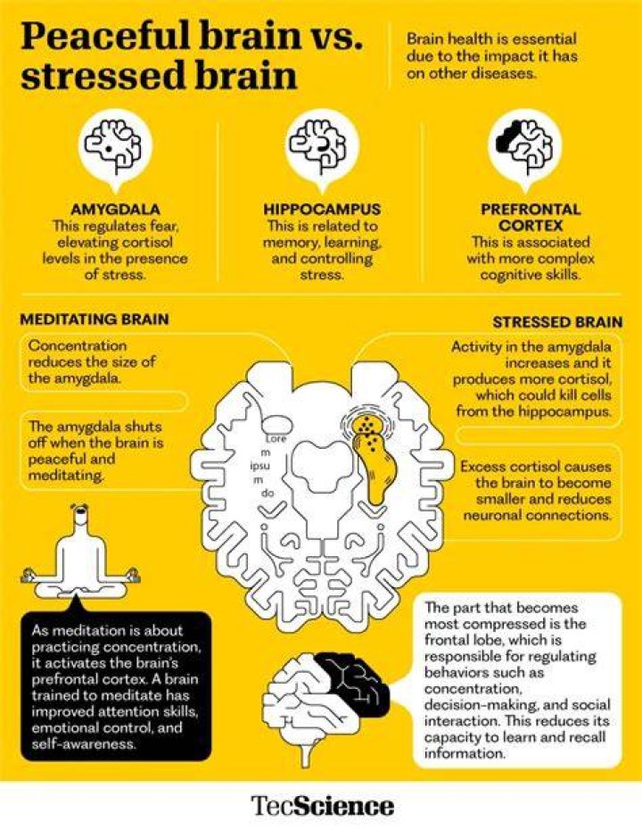 How can I start my brain again?