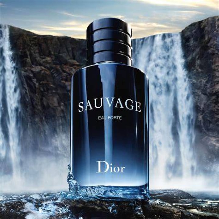 How much is Dior worth?