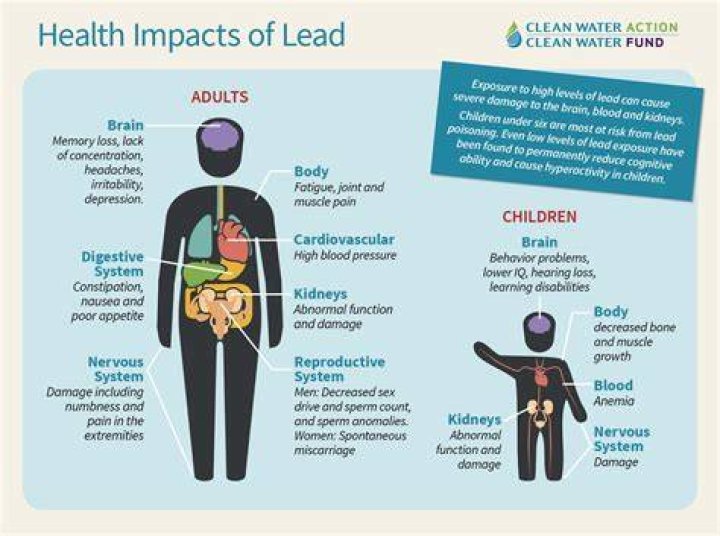 How much lead in water is safe?