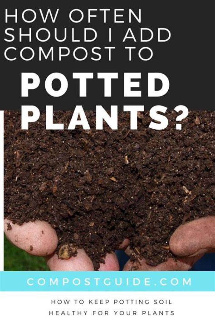 How often should you add water to compost?