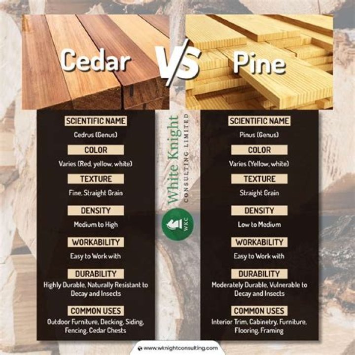 Is cedar wood better than pine?