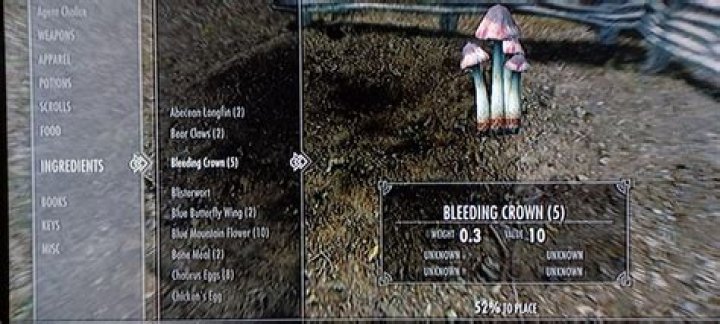 Is reverse pickpocketing illegal in Skyrim?