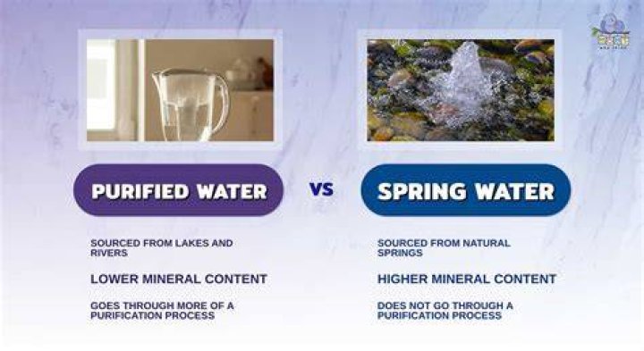 Is spring water better than purified?
