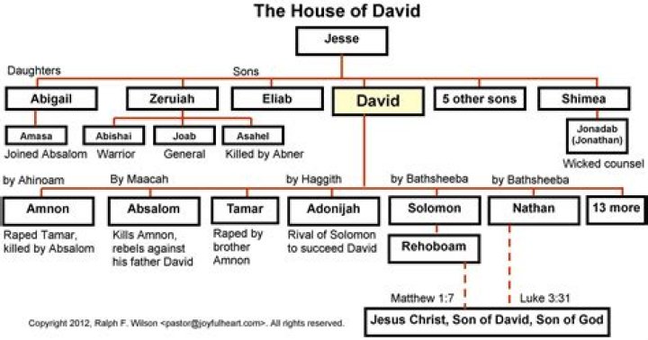 Was Mary descended from David?