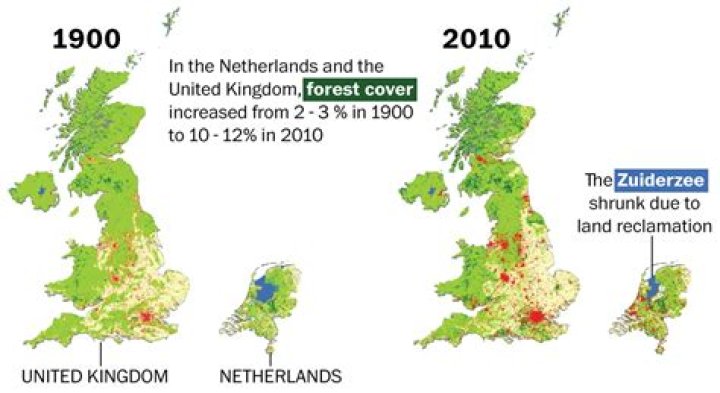 Was the UK once covered in forest?