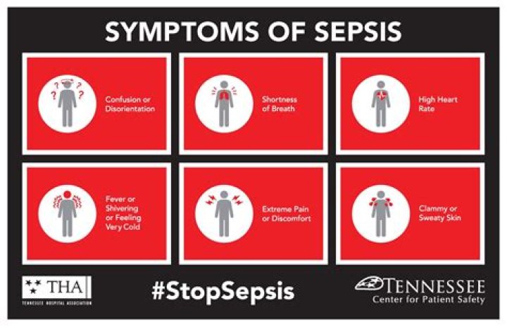What are 3 signs of joint infection?