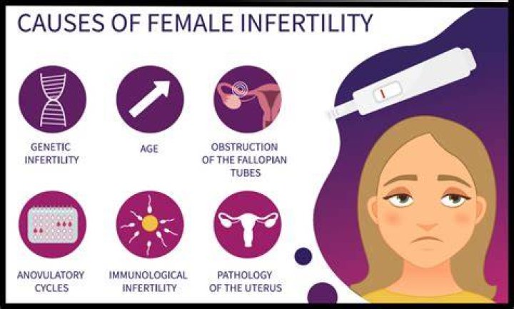 What are the signs of infertility in females?