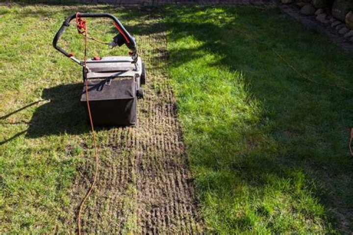What does dethatching do for your lawn?