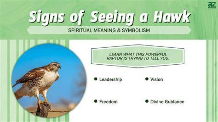 What does seeing Ho-Oh mean?