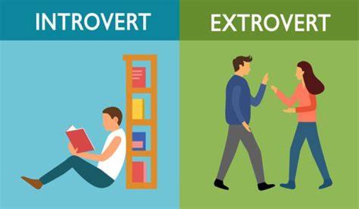 What extroverts need in a relationship?