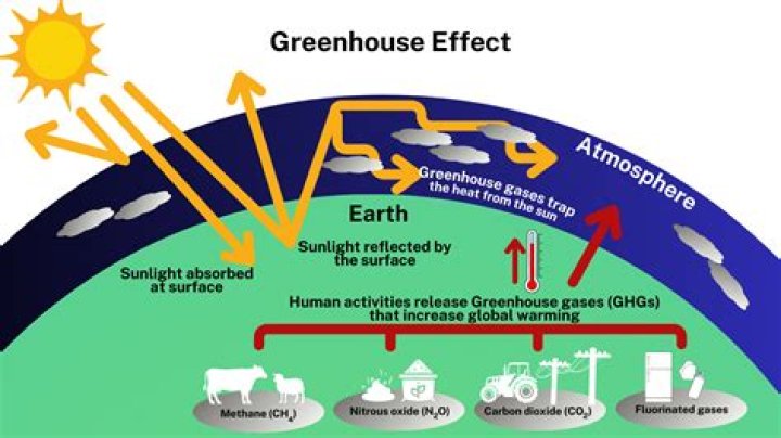 What greenhouse gases does coal produce?