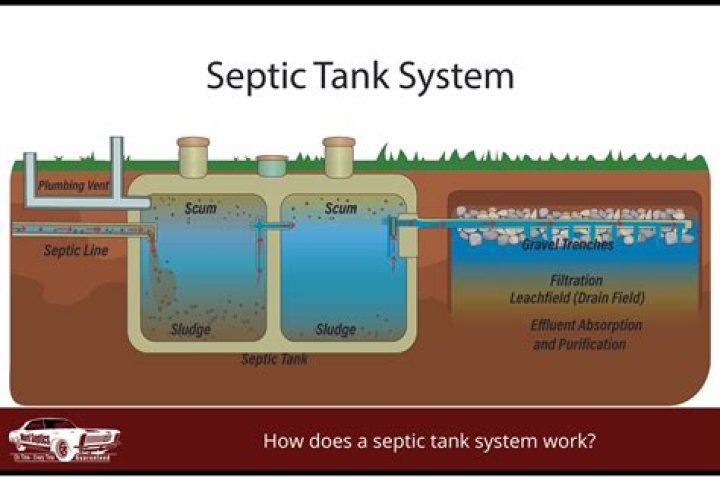 What happens to vomit in a septic tank?