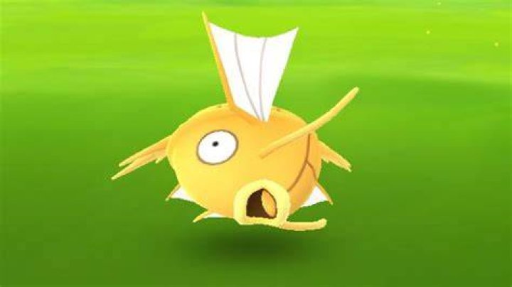 What is a Yellow Magikarp?