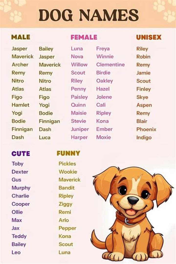 What is Lisa's dog name?