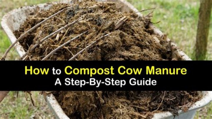What is the fastest way to compost cow manure?