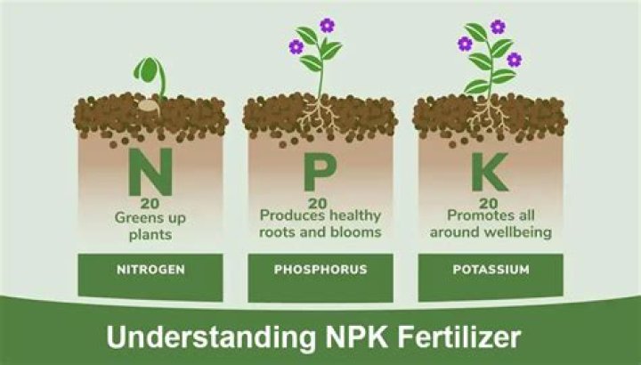 What is the NPK of homemade compost?