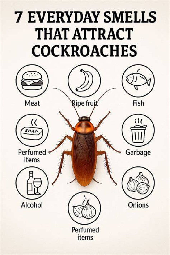What smell attracts roaches?