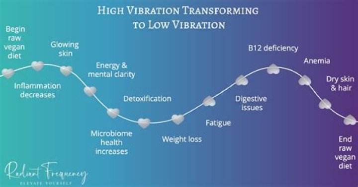 What things lower your vibration?