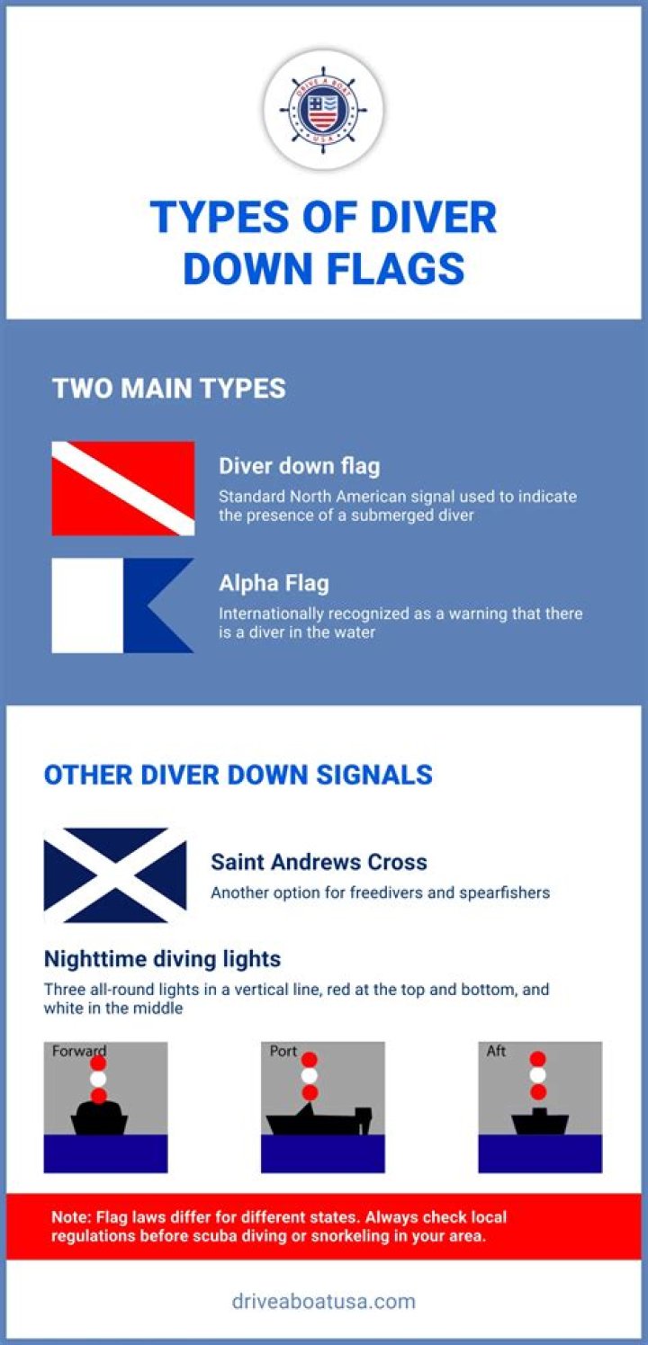 When you see a divers-down flag you must?