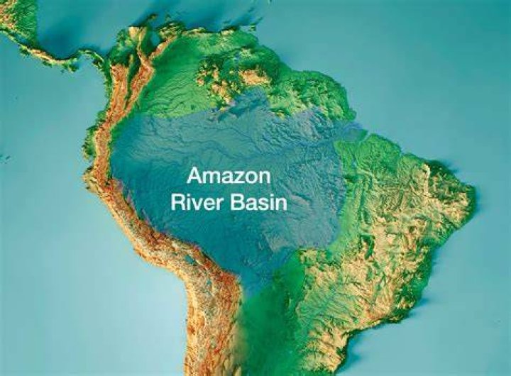 Where is Amazon located?